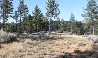 030 Butterfly Peak Rd, Mountain Center, CA 92561