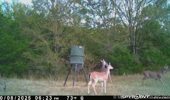 10450 County Road 1490 Rd, Ada, OK 74820