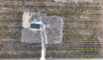 965 NW 55th Ave, Bell, FL 32619