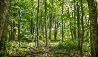 2905 N Lake Pleasant Rd, Arcadia, MI 48412