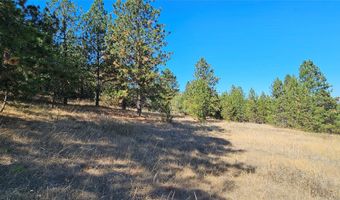 NHN Wild Horse View, Big Arm, MT 59910