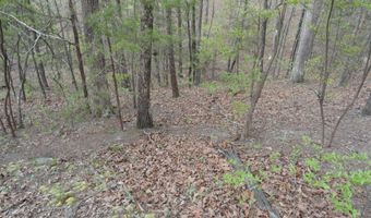 Long Branch Lane, Bee Branch, AR 72013