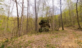 Tbd9999 Wentworth School Road, Beattyville, KY 41311