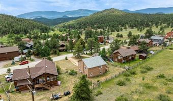 73 Sunlight Ln, Bailey, CO 80421