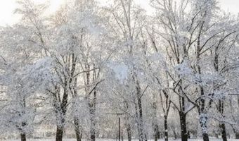Chesapeake Trail, Albrightsville, PA 18210
