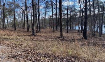 LONGVIEW LANDING LANE, Arley, AL 35541