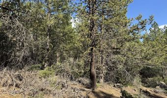 Thunderbear Road 46, Bonanza, OR 97623