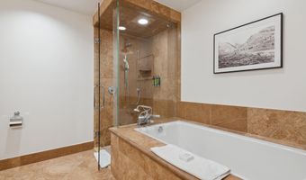 415 E Dean St Unit 36 Week 33, Aspen, CO 81611