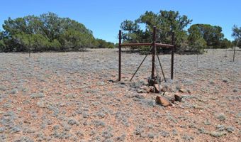 N8604 1, Concho, AZ 85924