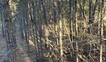 421041 E 1945 Ln, Antlers, OK 74523