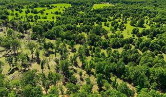 210 County Road 320, Alton, MO 65606