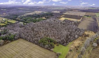 000 Brown, Applegate, MI 48401