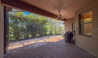 335 COCKLE SHELL Loop, Apollo Beach, FL 33572