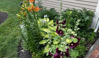 4 Bartlett Place Rd, Bartlett, NH 03812