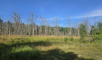 1269 17th Ave, Arkdale, WI 54613