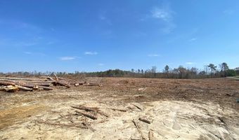 Chalk Level Rd lot 1, Alberta, VA 23821