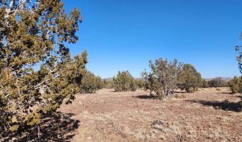 251 Se4 Juniperwood Rnch, Ash Fork, AZ 86320