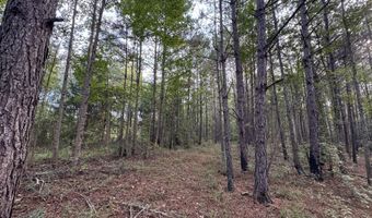 741 SE Hughs Hill Ln, Brookhaven, MS 39601