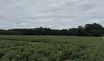Sr 1932 Off, Aurora, NC 27806