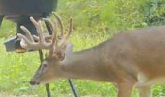 00 Ebenezer Church Rd, Bassfield, MS 39421