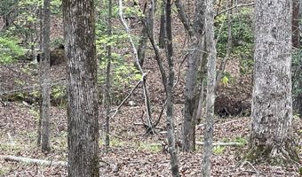 2390 Baron Dekalb Rd, Camden, SC 29020