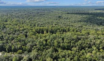 000 73rd Way, Bell, FL 32619
