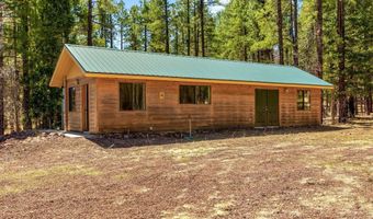 61 Co Rd 2266, Alpine, AZ 85920