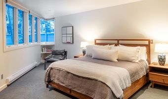 506 W Hallam St, Aspen, CO 81611