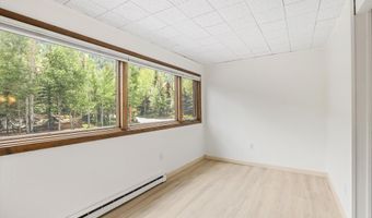 1501 Maroon Creek Rd #2, Aspen, CO 81611