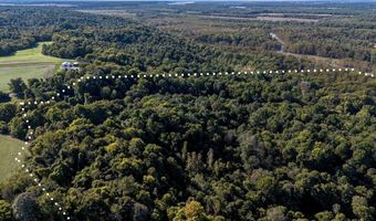 County Road 1320 lot Between County Roads 1324, Bardwell, KY 42023