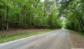 DOHERTY STORE RD, Big Sandy, TN 38221