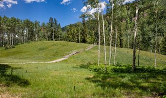 640 S Hayden Rd, Aspen, CO 81611