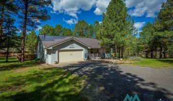 151 Alto Pines Trl, Alto, NM 88312