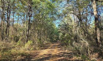 TBD Raw Land, Bates, AR 72958