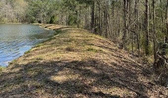 2584 County Road 6647, Banks, AL 36005