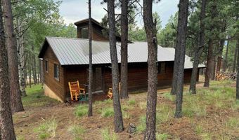 19 Black Lake Ter, Angel Fire, NM 87710