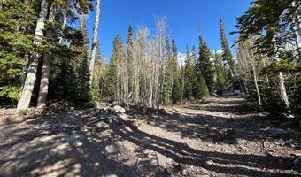 468 E Trail Rd, Brian Head, UT 84719