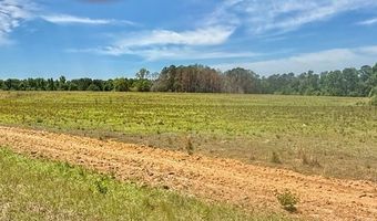 1983 Minton Chapel Rd, Bartow, GA 30413