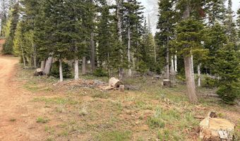 646 W Ski View Dr, Brian Head, UT 84719