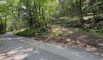 930 Osman Rd, Alum Bank, PA 15521
