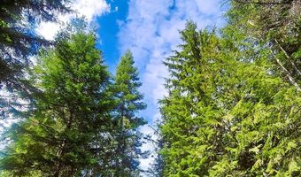 NKA Wandering Wolf Ridge Lot 3, Clark Fork, ID 83811