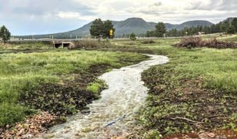 8 N COUNTY ROAD N2062 008, Alpine, AZ 85920