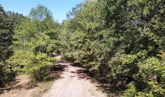 651 Grand Saline St, Alba, TX 75410