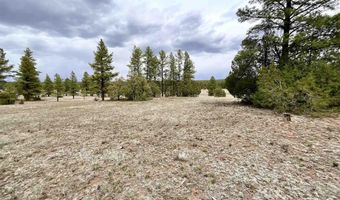 99 Big Notch Forest Trl, Bluewater, NM 87005