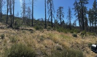 Wren Drive lot 5, Bonanza, OR 97623