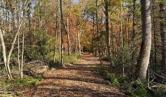 999 Porcupine Trl, Aitkin, MN 56431