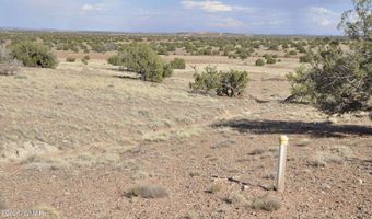 10 N9228, Concho, AZ 85924