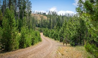 NHN Miners Road, Anaconda, MT 59711