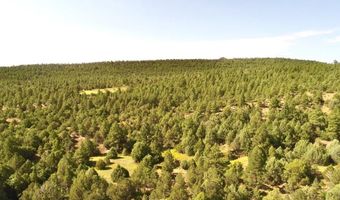 23560 Big Horn Dr, Aguilar, CO 81020