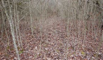 County Route 16, Angelica, NY 14709